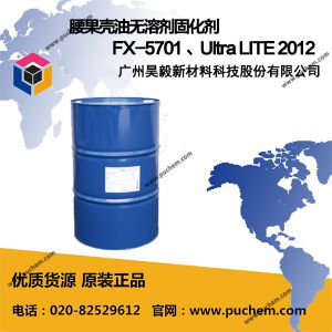 腰果壳油无溶剂固化剂 FX-5701 、Ultra LITE 2012